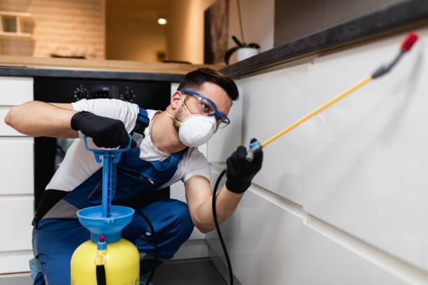 Best Ant Control Services  in Glenpool, OK