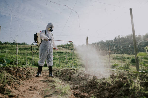 Best Commercial Pest Control Services  in Glenpool, OK