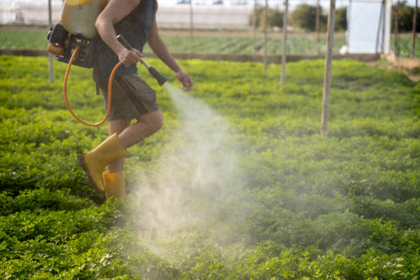Best Affordable Pest Control Services  in Glenpool, OK