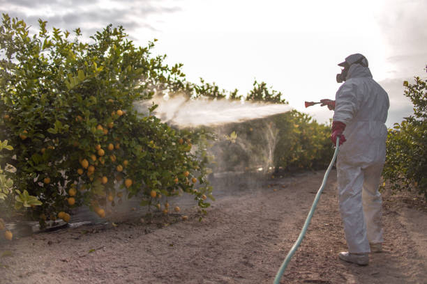 Best Wildlife Control Services  in Glenpool, OK