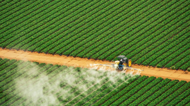 Trusted Glenpool, OK Pest Control Experts