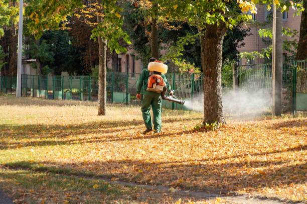 Best Emergency Pest Control  in Glenpool, OK