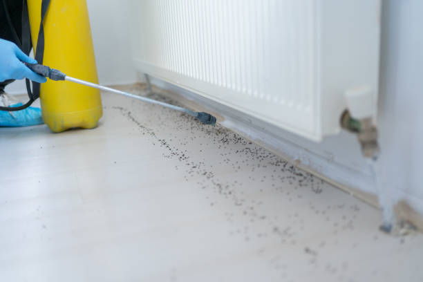 Best Pest Prevention Services  in Glenpool, OK