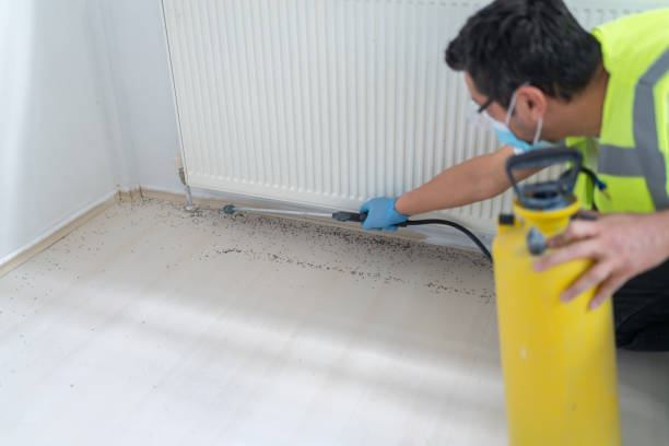 Best Local Pest Control Services  in Glenpool, OK