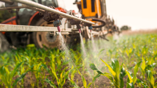 Best Wildlife Control Services  in Glenpool, OK